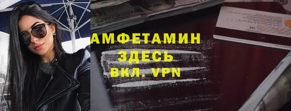 индика Богданович