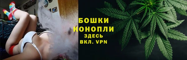 индика Богданович