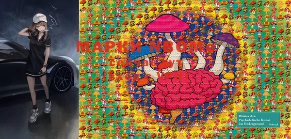 MDMA Богородицк