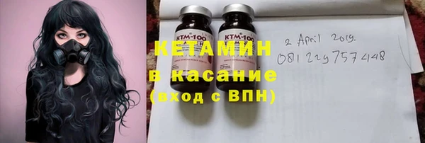 индика Богданович