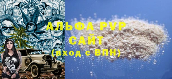 индика Богданович