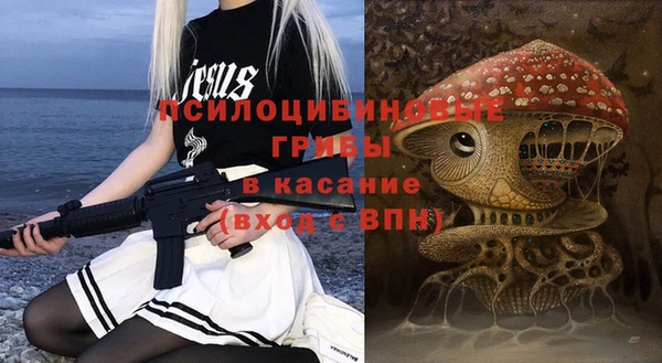 индика Богданович