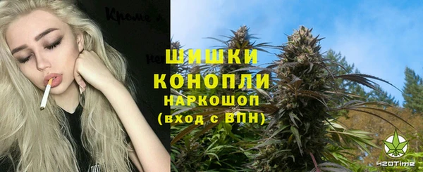 индика Богданович