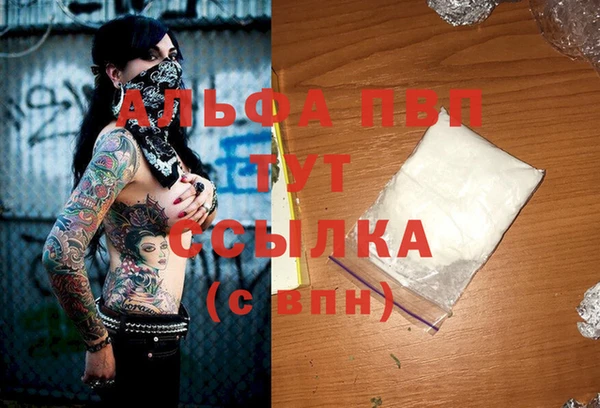 индика Богданович