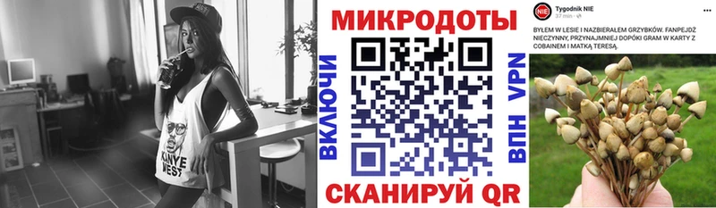 Псилоцибиновые грибы мицелий  купить  цена  Разумное 